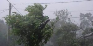 ondeeh-bencana-angin-kencang-di-dharmasraya-rumah-dan-fasilitas-umum-rusak