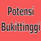 Peluang Usaha dan Bisnis di Kota Bukittinggi Provinsi Sumatera Barat, Ide Kreatif Rang Minang
