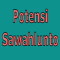 Potensi Pariwisata di Kota Sawahlunto Provinsi Sumatera Barat, Indah, Menawan, Penuh Pesona