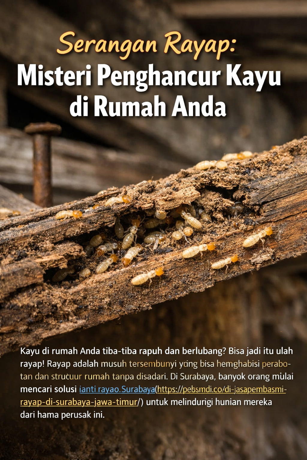 rayap